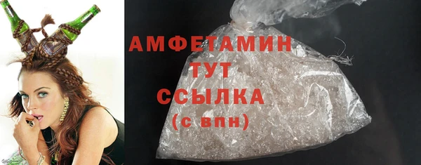прущие грибы Алзамай