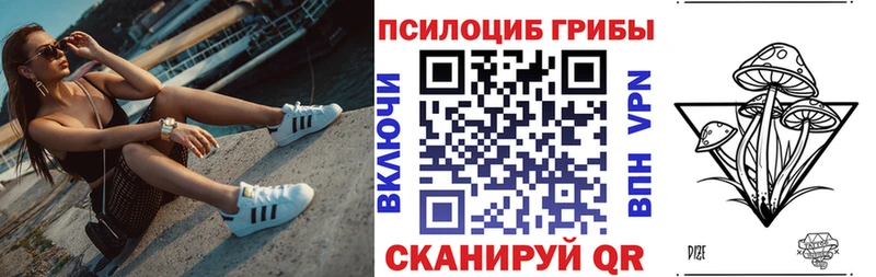 Псилоцибиновые грибы ЛСД  omg маркетплейс  Ессентукская 
